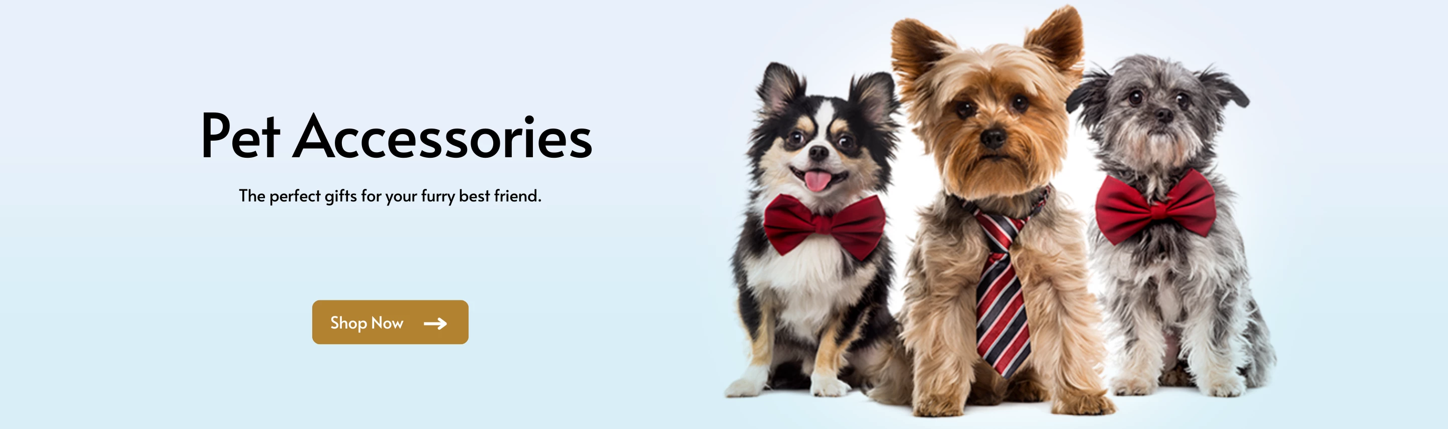 Slider banner